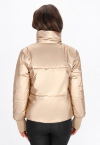 Giacca beige imbottita con colletto alto, caratterizzata da una finitura liscia e lucida e polsini a coste. Il design sul retro presenta cuciture orizzontali e una silhouette aderente.