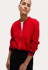 Maglione rosso con zip e polsini a costine, caratterizzato da strisce blu, texture lavorata a maglia e colletto rotondo, indossato sopra una camicia bianca.