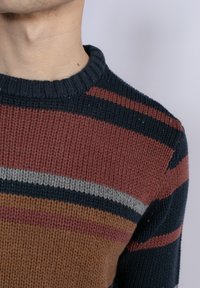 Gebreide trui met meerkleurige strepen in marineblauw, roest, grijs en camel. Ribbelkraag en textuurdetails zijn zichtbaar.