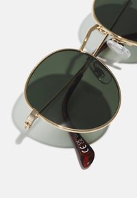 Des lunettes de soleil rondes avec des verres vert foncé, une monture en métal doré et des branches en acétate teinté brun présentant des détails imprimés. Coussinets de nez transparents inclus.