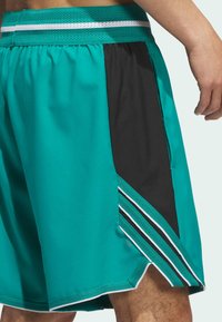 adidas Performance CRAZYLITE - Urheilushortsit - pure teal black