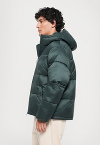 Junger Mann in einer dunkelgrünen Steppjacke mit Kapuze, seitlich stehend, trägt hellfarbene Hosen vor einem schlichten weißen Hintergrund.