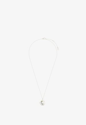 Collana d'argento con ciondolo a medaglione rotondo. Il medaglione presenta dettagli floreali colorati. La catena è delicata con chiusura a moschettone.