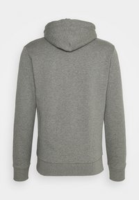 Gray sweatshirt with a hood, made from soft material. Features ribbed cuffs and hem, with a simple design and no visible logos.