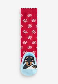 Next CHRISTMAS PATTERN 4 PACK.  REGULAR FIT - Strømper - nativity dogs