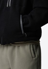 The North Face TNF FLEESKI - Fleece jumper - tnf black