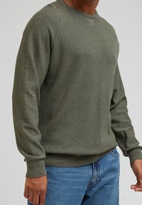 Lee Strickpullover - mottled green