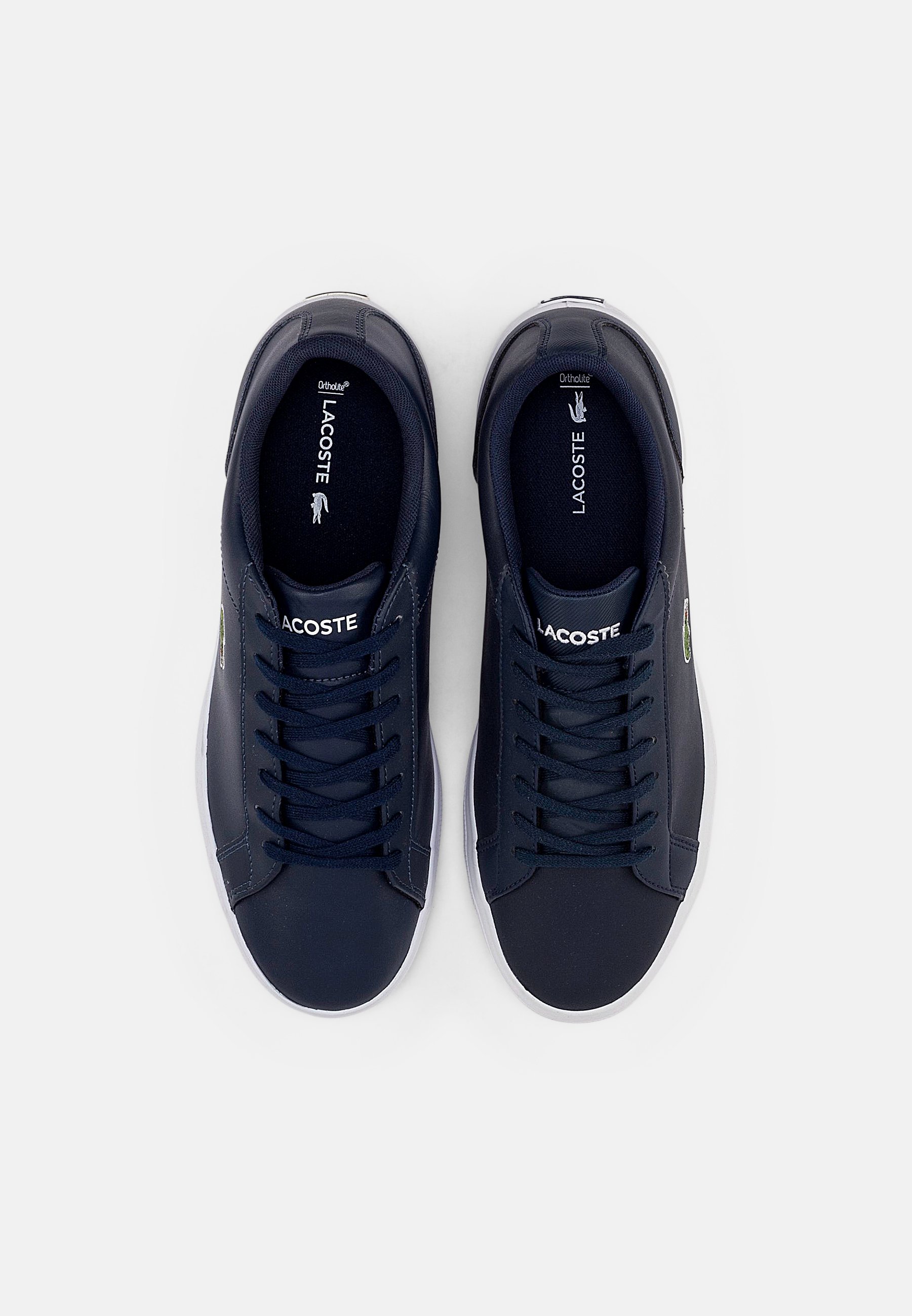 zalando lacoste lerond