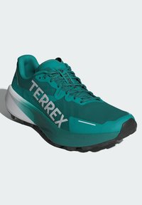 Scarpa da trail running turchese con tomaia in rete, grande marchio "TERREX", lacci testurizzati, suola con grip e intersuola bianca leggera.