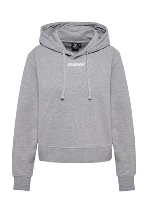 ELEMENTAL  - Kapuzenpullover - grey melange