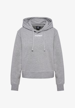 Grauer Kapuzenpullover aus weichem Material, mit einer Kängurutasche, gerippten Bündchen und einem weißen Logo auf der Brust.