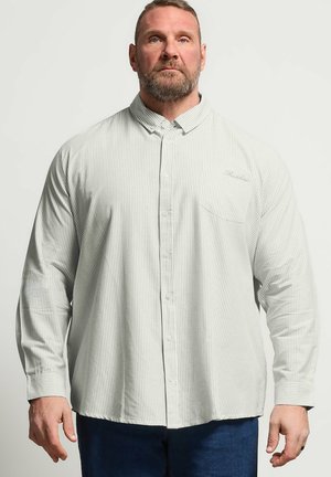 Bärtiger Mann mit kurzen Haaren, der ein hellgraues, dünn gestreiftes Hemd und eine dunkelblaue Hose vor einfarbigem Hintergrund trägt.