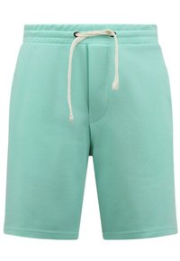 Mintgroene shorts van zacht materiaal, met een elastische tailleband en een koord, en een eenvoudig, strak ontwerp zonder zakken.