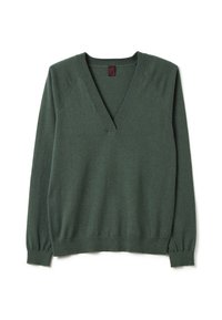 Grüner V-Ausschnitt-Pullover aus weichem Strickstoff, mit langen Ärmeln, gerippten Bündchen und einer lässigen Passform. Schlichtes Design ohne Muster.
