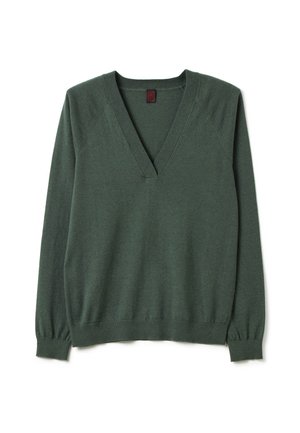 Grüner V-Ausschnitt-Pullover aus weichem Strickstoff, mit langen Ärmeln, gerippten Bündchen und einer lässigen Passform. Schlichtes Design ohne Muster.