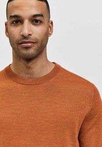 Selected Homme SLHTOWN MAX CREW NECK B NOOS - Maglione - bombay brown