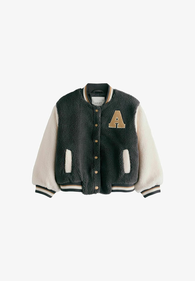 Next REGULAR FIT - Bomber-jakk - grey