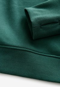 Next Mikina s kapucňou - green ski back graphic