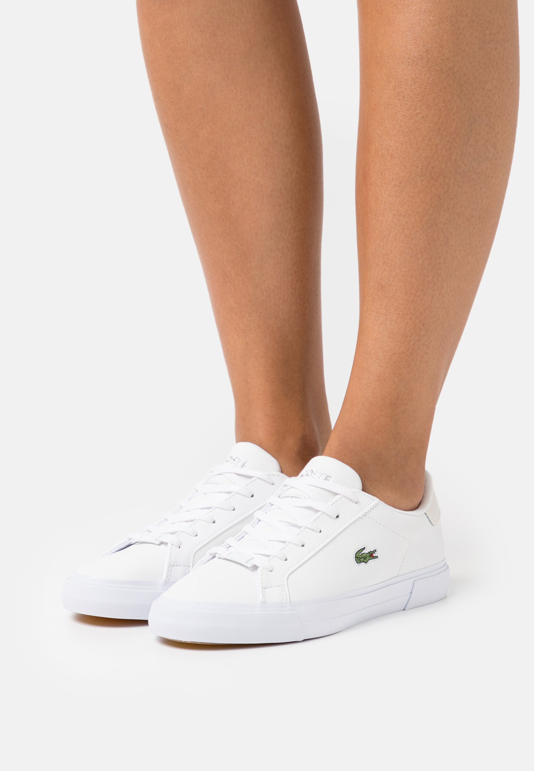 lacoste lerond plus