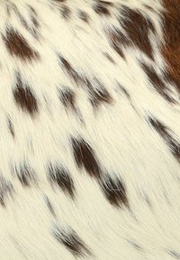 Bruin en witte vacht met een gemêleerd patroon, met variërende haartlengtes en een zachte textuur. Zichtbare donkere vlekken door het geheel.