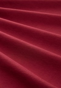 TOM TAILOR PLUS - MIT LOGO - T-shirt print - deep red