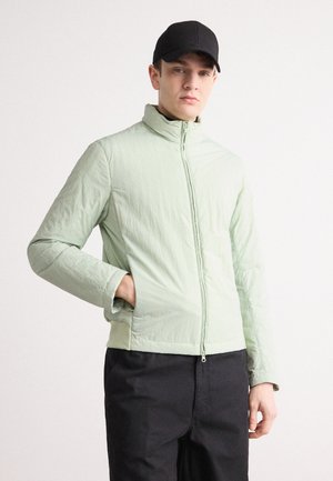 MENS JACKET - Untuvatakki - green dust
