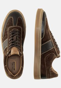 camel active - Sneakersy niskie