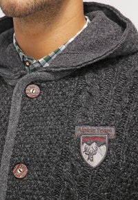 Grijze gebreide hoodie met een textuurpatroon, houten knopen en een geborduurd "Alpine Team"-label met bergen en een hert.