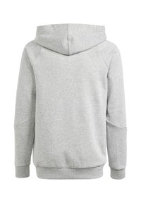 Grauer Kapuzenpullover mit weicher Textur, ausgestattet mit einer Kapuze, langen Ärmeln und gerippten Bündchen und Saum. Glattes Gewebe ohne Muster oder sichtbare Beschläge.