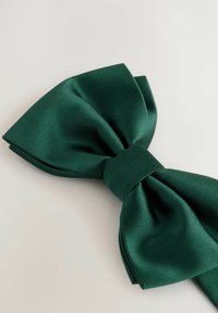 Next TEXTURED - REGULAR FIT - Fliege - green