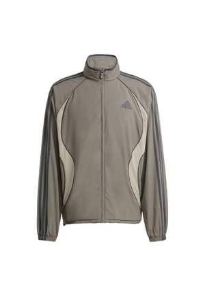 Light gray athletic jacket with high collar, zip front, and contrasting dark gray stripes. Features a smooth texture and sporty design.