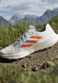 adidas Terrex AGRAVIC SPEED - Løbesko trail - dash grey/impact orange/footwear white