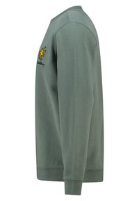 Light green sweatshirt with a crew neck, ribbed cuffs, and embroidered graphic on the chest. Soft, textured cotton fabric.