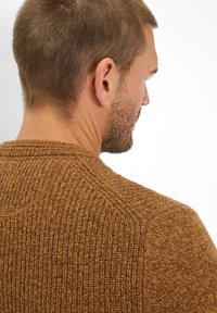 Bruine gebreide trui met een geribbelde textuur, ronde halslijn en korte mouwen, met een gedetailleerd achteraanzicht en een naadloos schouderontwerp.