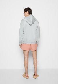Weekday STANDARD ZIP HOODIE - Camisola com fecho - light green/blue