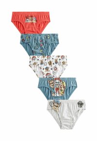 Set di cinque mutandine per bambini con design di cani dei cartoni animati. I colori includono corallo, blu, bianco e grigio. Tessuto morbido con cinture elastiche.