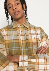 Dickies ORTING - Krekls - green