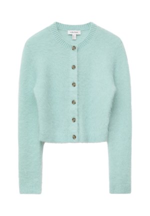 Lichtblauwe, pluizige cropped cardigan met lange mouwen, geribde ronde hals en manchetten, en zes bruine knopen aan de voorkant.