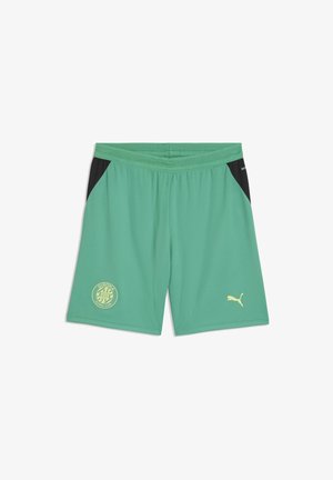 Grüne Sportshorts mit schwarzen Seitenpaneelen, Girona Futbol Club-Logo am linken Bein und gelbem Puma-Logo am rechten Bein.