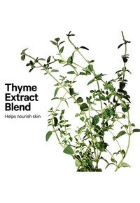 Miniatuurafbeelding 8