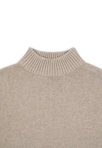 Beige neulepusero, jossa on korkea, ribattu kaulus ja sileä pinta. Kankaan tiheys on hieno, mikä antaa puhtaamman ja minimalistisemman ilmeen.