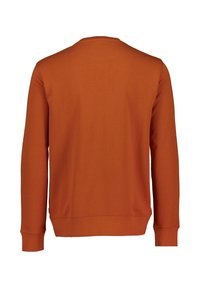 Roestoranje sweatshirt met een ronde hals en lange mouwen. Gladde textuur met ribgebreide manchetten en zoom. Geen zichtbare sluitingen of patronen.