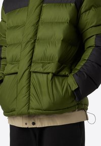 The North Face M LIMBARA INSULATED JACKET - Zimní bunda - woodland green