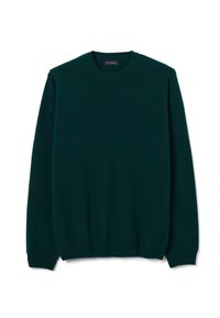 Dunkelgrüner Strickpullover mit Rundhalsausschnitt aus weichem Material, ausgestattet mit langen Ärmeln und einem gerippten Saum. Einfaches, einfarbiges Design ohne Muster.