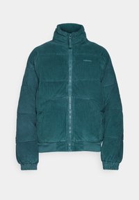 BDG Urban Outfitters PUFFER - Žieminė striukė - grey
