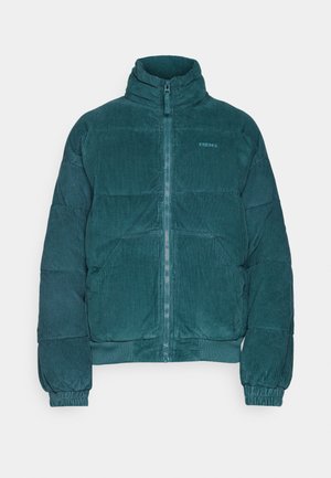 BDG Urban Outfitters PUFFER - Talvitakki - grey