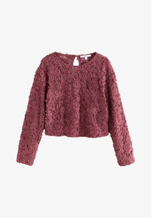 Langærmet crop top i støvet rosenfarve, tekstureret med lagdelte blomsterapplikationer. Har en rund halsudskæring og en nøglehulsåbning bagpå.