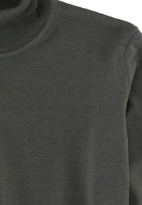 OLYMP ROLLKRAGEN - Felpa - olive