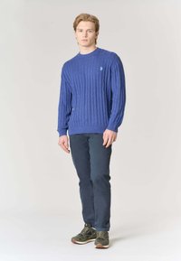 Maglione blu lavorato a maglia con motivo a trecce, scollo rotondo e polsini a costine. Abbinato a pantaloni blu scuro e scarpe da ginnastica verdi.