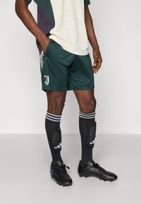 adidas Performance JUVENTUS TRAINING SHORTS - Klubové oblečenie - shadow green